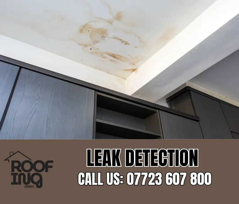 Roof Leak Detection in Torquay