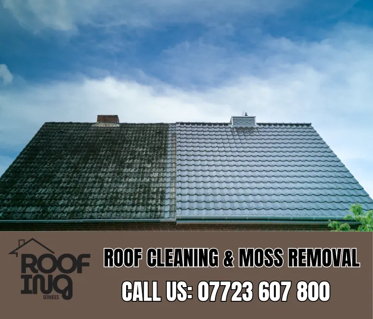 Roof cleaning and moss removal in Torquay